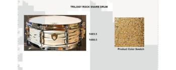 Trilogy Snare 14X6.5 Gold Sparkle (SA-SD1465TRGS)